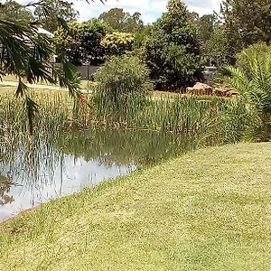 Units And , Wondai Australia